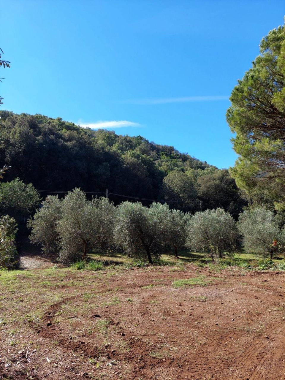 Agriturismo Paradisa Rio dellʼElba Eksteriør billede