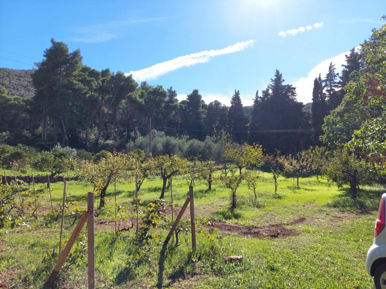 Agriturismo Paradisa Rio dellʼElba Eksteriør billede