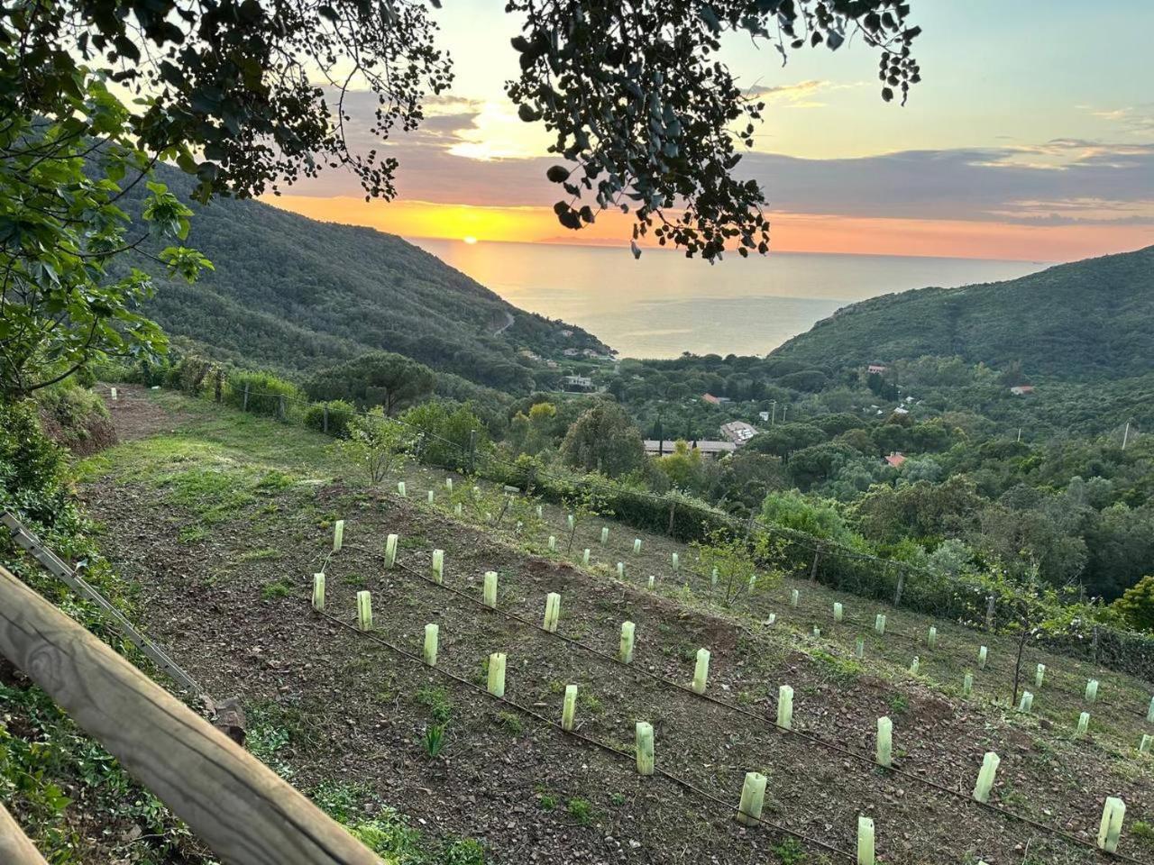 Agriturismo Paradisa Rio dellʼElba Eksteriør billede